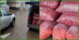 „Captura anului” realizată de Serviciul Vamal: Au depistat un lot comercial de 1200 kg de ridiche